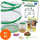 Insect Lore Bug Camp Bundle - Butterfly Kit with 5 Live Caterpillars, Ladybug Land with 1 Tube Live Larvae, Ant Mountain with 1 Tube Live Western Harvester Ants - Bonus Life Cycle Figurines & More by TinyTreasures Baby Boutique