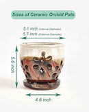 vensovo 5 Inch Ceramic Orchid Pots with Holes and Saucers - 1 Pcs Small Succulent Pot for Repotting, Garden Flowerpots for Plants Indoor and Outdoor Promotes Air Circulation, Brown Mixed by GreenHaven Gardens