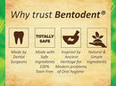 Bentodent Remineralizing Food Grade Organic Calcium Bentonite Clay Toothpaste Fluoride Free Natural Toothpaste for Adult & Kids - Mineral Toothpaste Sensitive Teeth Whitening (Premium Mint) by CozyNest Decor