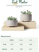LE TAUCI Succulent Pots, 6.5+8 Inch Ceramic Indoor Plant Pot with Drainage Hole, Modern Round Decorative Flower Pot, Set of 2, Reactive Glaze Star White by GreenHaven Gardens