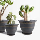 10 Inch 4 Pack Large Plant Pots, Plastic Flower Pot for Indoor & Outdoor with Drainage Holes & Saucer, Plaid Pattern Planters Garden Pots for Herbs by CozyNest Decor