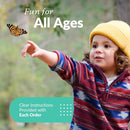 Clearwater Butterfly Live Painted Lady Butterflies - 5 Live Caterpillars - Live Caterpillars to Butterflies - Caterpillars for Butterfly Kit - Mesh Cage Not Included - Live Butterfly Kit - 5 Count by TinyTreasures Baby Boutique