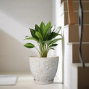 10 Inch Ceramic Planter Pot Large Plant Pot for Indoor Plants Outdoor Round Flower Pot with Drainage Hole and Saucer for Home Garden Decor White by GreenHaven Gardens