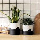 Nihow Self Watering Plant Pot: 6 Inch Ceramic Planter with Drainage Hole & Water Storage Plus for Indoor & Outdoor Plants - Cylinder Round Flower Pot for Succulent/Herbs/Violets - White & Wave Black by CozyNest Decor