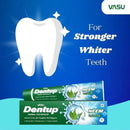 Vasu Dentup Herbal Neem Toothpaste | Ayurvedic Gum Care Toothpaste for Cavity Protection, Gum Strength, Fresh Breath | Fluoride-Free Natural Oral Care – 100g Each (Pack of 2) by CozyNest Decor