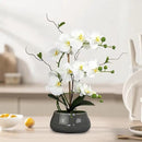 White Orchid Artificial Flowers with Gray Vase Large Silk Faux Phalaenopsis Flowers for Dining Room Table Floral Centerpieces Indoor Decoration by CozyNest Decor