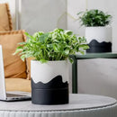 Nihow Self Watering Plant Pot: 6 Inch Ceramic Planter with Drainage Hole & Water Storage Plus for Indoor & Outdoor Plants - Cylinder Round Flower Pot for Succulent/Herbs/Violets - White & Wave Black by GreenHaven Gardens