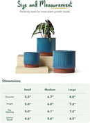 LE TAUCI Ceramic Pots for Plants, 8+6.7+5.5 Inch Plant Pots Indoor, Flower Pot with Drainage Holes, Medium Cylinder Planters for Indoor House Plants, Set of 3, Blue by GreenHaven Gardens