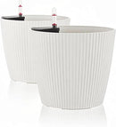 Dexceder 9x8 Self Watering Planters Indoor, Inner Mat Design, Table Flower Plant Pot with Water Level Indicator (2 Pack, White) by GreenHaven Gardens