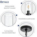5-Lights Modern Chandelier with Clear Glass Shades, Black Farmhouse Pendant Lighting for Dining Room Kitchen Island Ceiling Light Fixture Haning Over Table by CozyNest Decor