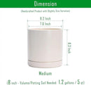 D'vine Dev 8 Inch Ceramic Planter Pot with Drainage Hole and Saucer, Indoor Cylinder Round Planter Pot, Oatmeal, 94-O-D-8 by GreenHaven Gardens