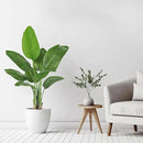 Lifelike Bird of Paradise Silk Artificial Plant Faux Banana Leaf Tree for Home Decor - Perfect Indoor Floor Plant with 9 Trunks (1, Black Planter, 4 FT) by CozyNest Decor