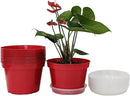 8 inch Plastic Flower Pots, Red Plant Pots 12Pack with Saucers for Indoor House Plants Growing and Decoration by GreenHaven Gardens