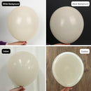 RUBFAC 129pcs Sand White Balloons Different Sizes 18 12 10 5 Inches, Cream Beige Latex Balloon Garland Arch for Birthday Party Graduation Wedding Anniversary Baby Shower Decoration by TinyTreasures Baby Boutique
