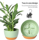 2 Pack Plastic Hanging Planters Set ,8.3 Inch Hanging Flower Plant Pot with Drainage Hole for Indoor Outdoor Plants, Round Hanging Basket with Removable Tray for Home Garden Porch Balcony Patio Decor by GreenHaven Gardens