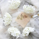Tifuly Hydrangea Artificial Flowers with Stems 12pcs Fake Hydrangea Silk Flowers Faux Hydrangea Flowers Heads for Wedding Centerpiece Home Party Baby Shower Decor（Off White） by CozyNest Decor