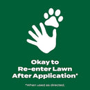 Scotts Green Max Lawn Food, Lawn Fertilizer Plus Iron Supplement for Greener Grass in 3 Days, 5,000 sq. ft., 16.67 lbs. by GreenHaven Gardens