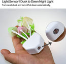 AUSAYE Sensor Night Light Plug in Mushroom Light LED Color Changing Nightlights for Kids, Adults, Bedroom, Bathroom,Hallway, Stairs, Kitchen Pack of 6 by TinyTreasures Baby Boutique