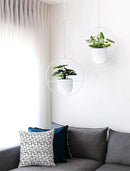 2 Pack Hanging Planters for Indoor Outdoor Plants Modern Metal Plant Hangers Wall and Ceiling Hanging Plants Baskets Mid Century Minimalist Flower Pots Home Decor, White by GreenHaven Gardens
