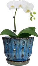 6 inch Round Ceramic Orchid Pot with Holes Orchid Planter (Dark Blue) by GreenHaven Gardens