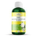 Organic Premium Kelp Seaweed Concentrate for Gardenia - Liquid Fertilizer - Liquid Plant Food - Nutrient-Rich Soil Enhancer - Natural Plant Food for Gardenia Plant (16 OZ), OLKC-14 by GreenHaven Gardens