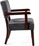 Accent Chair, Living Room Chairs Oversize with Soft Seat and Armrests for Living Room Dinning Room Bedroom Reading Room Waiting Room, AC01 by CozyNest Decor
