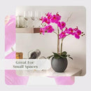 Faux Pink Orchid Plant, Premium Artificial Indoor Flower Display Stands 25-Inches with Beautiful Sculptural Blooms and Foliage That Lasts Forever, Grey Planter Pot Included by CozyNest Decor