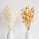 120 PCS Bunny Tails Dried Flowers, Dried Pampas Grass Bouquet, Boho Table Decor, White Pampas Grass Small, Dried Bunny Tails, Pampas Grass for Wedding, Home, Rustic Party, Baby Shower Decorations by CozyNest Decor