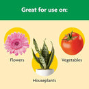 Miracle-Gro Shake 'N Feed All Purpose Plant Food, For In-Ground and Container Plants, Feeds for up to 3 Months, 8 lbs. by GreenHaven Gardens