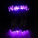 MULTI-SPARKING Purple LED Halloween Lights - 100 Count Purple Christmas String Lights for Tree, Party, Holiday, Indoor and Outdoor Halloween Decorations, 33 Feet Black Wire, UL Certified, Connectable by GreenHaven Gardens