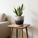 8 Inch Indoor Plant Pot with Drainage Holes and Saucers, Ceramic Planter for Plants, Succulent Orchid Flower Pots(Dark Gray+White) by GreenHaven Gardens