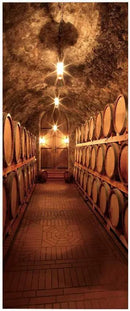 3D Door Stickers Murals - Peel & Stick Wine Cellar Theme - Removable PVC Waterproof Door Poster, 37.4" x 84.6" for Bedroom & Living Room by GreenHaven Gardens