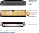 Randon Black Harmonica Key of C, 10 Holes Diatonic Harmonicas for Adults/Kids/Beginners, Blues Harmonica as Gift, with Case, Clean Cloth and Manual by TinyTreasures Baby Boutique
