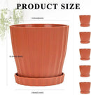 Plastic Flower Pots, 5 Pack 6 inch Indoor Plant Pots Planters for Outdoor Plants Flowers Garden Patio Home Nursery Decor Gifts,Large Succulent Pots with Drainage Tray Saucer & Hole Terracotta by GreenHaven Gardens