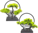 Ryoma Artificial Pine Tree Set Simulated Bonsai Features Ornaments Chinese - Style Desktop Screen Ornament 2 Set by GreenHaven Gardens