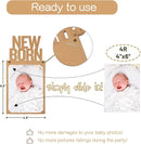 1st Birthday Photo Banner Decorations Monthly Milestone Photograph Bunting Garland with First Birthday Cake Topper High Chair Banner 1st Birth Decorations by TinyTreasures Baby Boutique