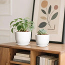 6.7 + 5.5 Inch Plant Pot, Ceramic Planter with Drainage and Saucer, Ceramic Pots for Plants, Indoor Plant pots,Succulent Pot Orchid Pots(Smooth White,Plant Pot Only) by GreenHaven Gardens