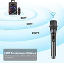 Aveek Wireless Microphone for Karaoke, 2.4GHz Rechargeable Karaoke Microphone(Work 10hs), for Speaker, Karaoke Machine,Church, Speech, Wedding, Party Singing, Grey,1 Pack by TinyTreasures Baby Boutique