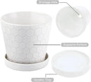 Ceramic Plant Pots,4+5+6 Inch Pots for Indoor Plants,Planters with Drainage Holes and Ceramic Tray, Indoor Flower Pots Gardening Home Desktop Office Windowsill Decoration Gift,Set of 3 (White) by GreenHaven Gardens