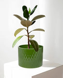 LaDoVita Ceramic Plant Pot with Stand, 10 Inch Planter with Wood Shelf, Modern Round Flower Pots Indoor with Wood Planter Holder, Dark Green Water Ripple Pattern by GreenHaven Gardens