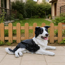 Outdoor Garden Border Collie Dog Statue Greeter by HouseOfZazla