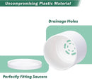 D'vine Dev 12 Pack 3 Inch Mini Plastic Plant Pots, Small Garden Planters for Plant with Drainage Holes and Saucers, White Color, 74-Z-C-4 by GreenHaven Gardens