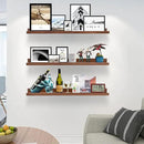 AZSKY Floating Photo Shelves Fair Light Walnut 24 Inch Picture Ledge for Storage Wall Book Shelves Hanging Picture Photo Frame Ledge Shelves with Lip a Set of 3 Same Sizes Kitchen Spice Rack by CozyNest Decor