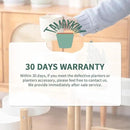 TAMAYKIM 4 Inch Ceramic Plant Pots with Drainage Holes, Modern Flower Planter with Saucer for Indoor Plants, Succulent, Cactus & Herbs, Beige, Set of 4 (Plants Not Included) by CozyNest Decor
