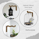 2-Piece Set of Wavy Wooden Wall Planters for Indoor Plants 6 Inch - Natural Plant Hook for Wall Plant, Wind Chimes, Flower Brackets, Patio Garden Decorations - Bracket Plant Hanger (Walnut) by GreenHaven Gardens