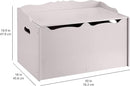 Amazon Basics Kids Toy Box, Wooden Organizer Storage Chest, Gray, 30" x 18" x 19" by CozyNest Decor