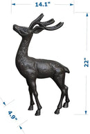 Cast Iron Deer Statue（22" Tall）, Realistic Large Antler Sculpture, Outdoor Garden Decor for Lawn Patio Yard, Indoor Home Art Figure HC5691 by CozyNest Decor