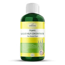Organic Seaweed Kelp Liquid Fertilizer for Snake Plant (Sansevieria, Dracaena trifasciata) - Snake Plant Fertilizer - Snake Plant Food - Live Plant Care (8 OZ) by GreenHaven Gardens