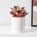 Duovlo Artificial Succulent Plant 7.08 Inch Faux Succulents Agave potatorum Flower Arrangement Craft Wall DIY Materials Pack of 2 (Dark Purple) by GreenHaven Gardens
