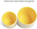 Ceramic Plant Pots, 6 + 4.7 inch Yellow Plant Pot, Flower Pots for Indoor Plants， Planter with Drainage Hole for Succulent Orchid Snake Plants Cactus by GreenHaven Gardens